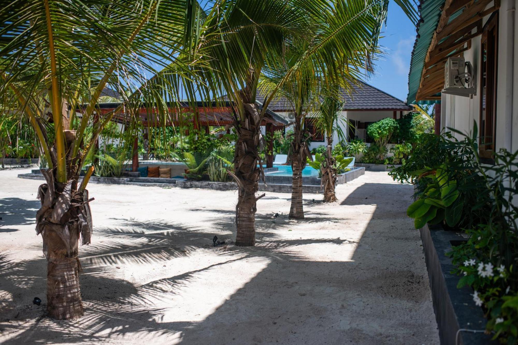 Baobab Bungalows Jambiani  Kültér fotó