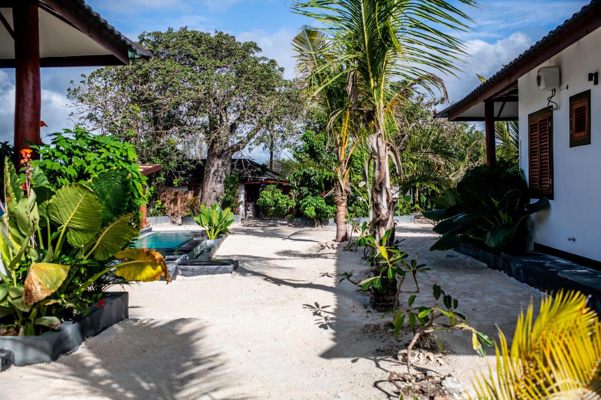 Baobab Bungalows Jambiani  Kültér fotó