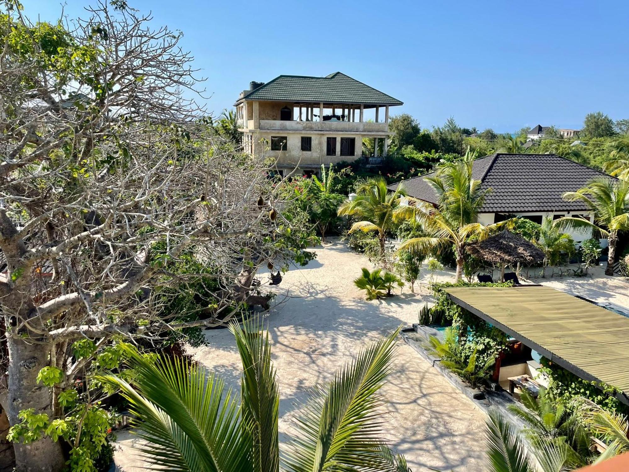 Baobab Bungalows Jambiani  Kültér fotó