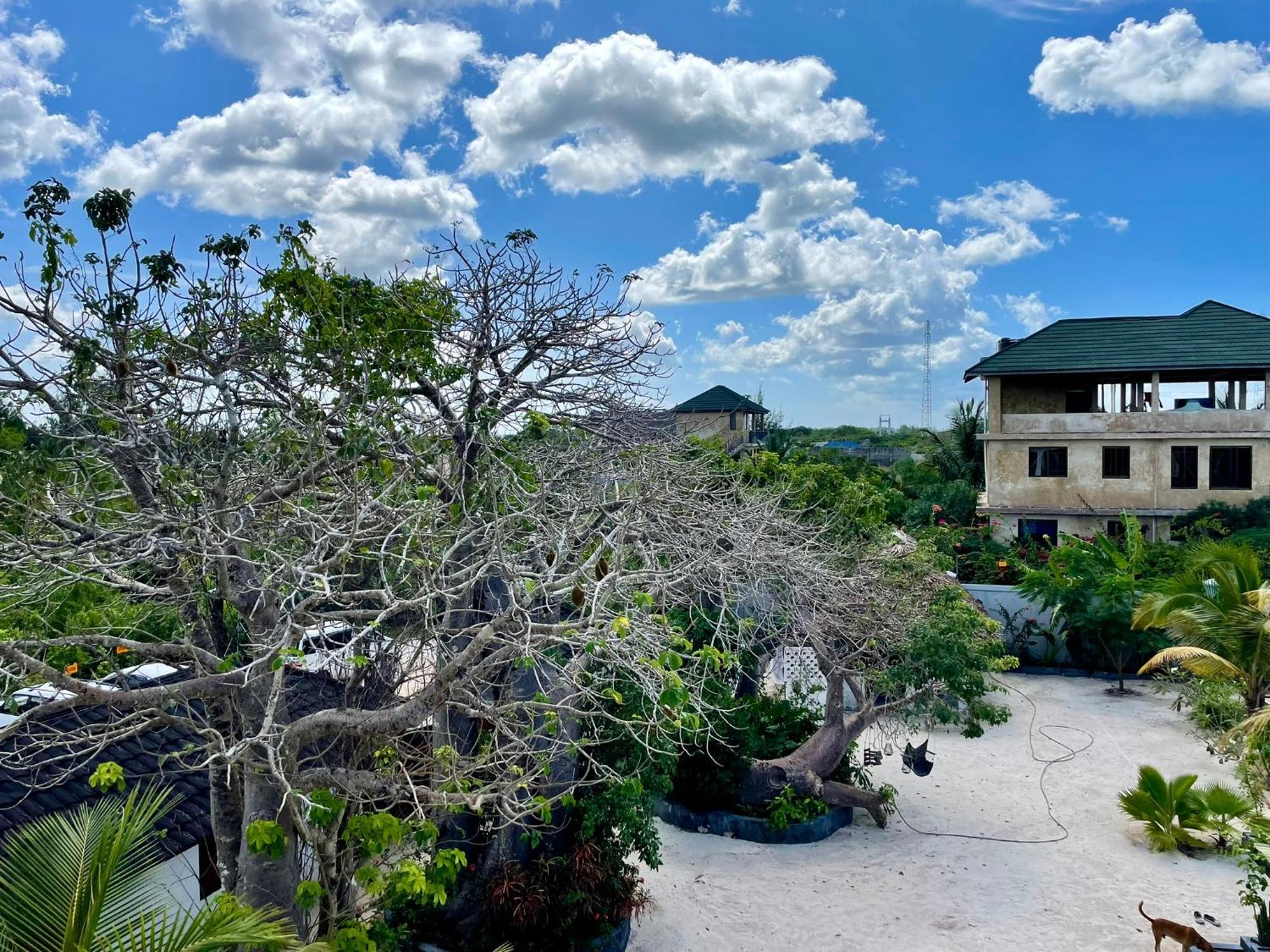 Baobab Bungalows Jambiani  Kültér fotó